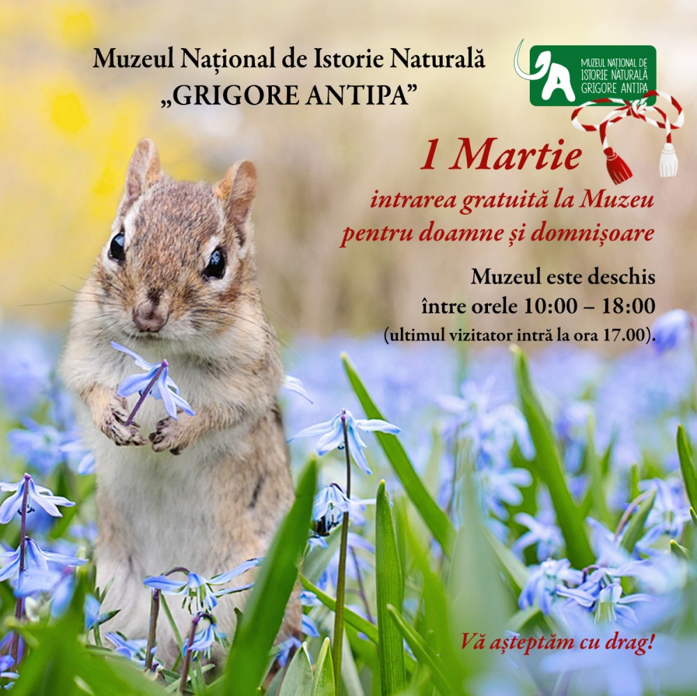 Intrarea gratuită de 1 Martie la Muzeul Antipa